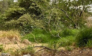 Terreno en Venta en Las Cañadas 504.47m2 Uso de suelo mixto