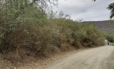 TERRENO CAMPESTRE EN VENTA, EL BARRO, CARRETERA NACIONAL