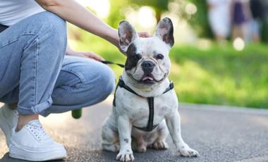 DEPARTAMENTOS EN VENTA EDIFICIO SID, SANTA CATARINA NUEVO LEON