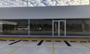 Locales Comerciales en Renta