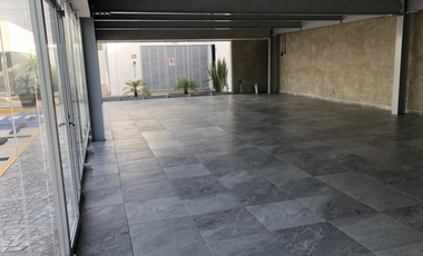 Locales Comerciales en Renta