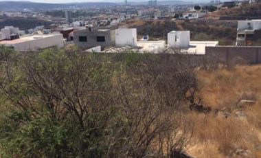 Terreno en Renta, Real de Juriquilla