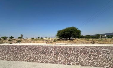 Terreno en El Encino