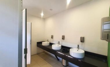 Oficinas en Renta en San José Insurgentes