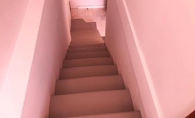 Departamento en Reforma Social