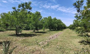 Rancho en venta