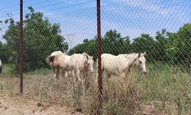 Rancho en venta