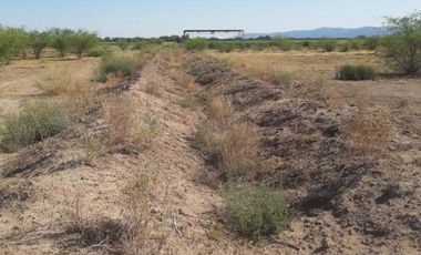 TERRENO EN VENTA AL LADO DEL BLVD. TORREÓN - MATAMOROS