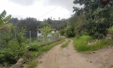 Terreno de venta en Lentag - Guabaloma – código:15652