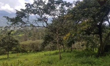 Terreno de venta en Lentag - Guabaloma – código:15652