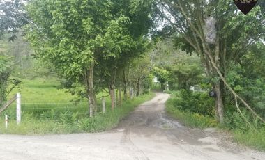 Terreno de venta en Lentag - Guabaloma – código:15652