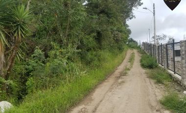 Terreno de venta en Lentag - Guabaloma – código:15652