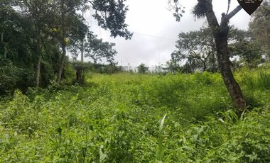 Terreno de venta en Lentag - Guabaloma – código:15652