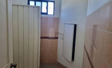 Piso en Renta en Toluca, sobre avenida, ideal para escuelas, oficinas, gym, etc.
