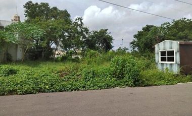 Terreno en Renta  en Conkal