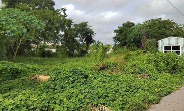 Terreno en Renta  en Conkal