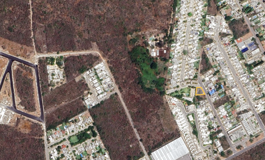 Terreno en Renta  en Conkal