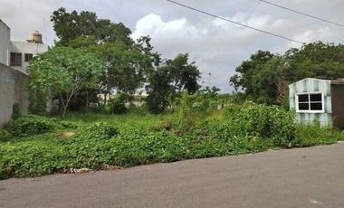 Terreno en Renta  en Conkal