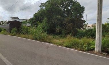 Terreno en Renta  en Conkal