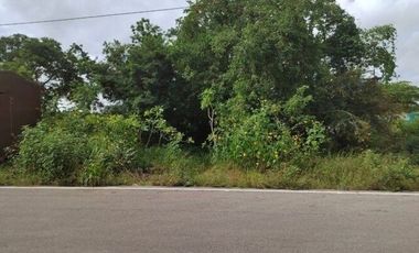 Terreno en Renta  en Conkal