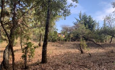 TERRENO EN VENTA CON VISTA PARCIAL AL LAGO EN AVANDARO