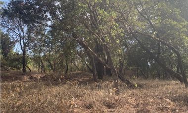 TERRENO EN VENTA CON VISTA PARCIAL AL LAGO EN AVANDARO