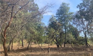 TERRENO EN VENTA CON VISTA PARCIAL AL LAGO EN AVANDARO
