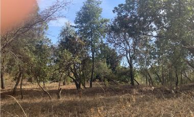 TERRENO EN VENTA CON VISTA PARCIAL AL LAGO EN AVANDARO