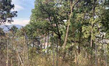 TERRENO EN VENTA CON VISTA PARCIAL AL LAGO EN AVANDARO