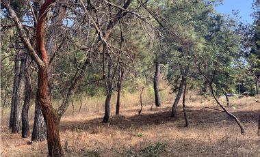 TERRENO EN VENTA CON VISTA PARCIAL AL LAGO EN AVANDARO