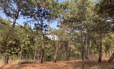 TERRENO EN VENTA CON VISTA PARCIAL AL LAGO EN AVANDARO