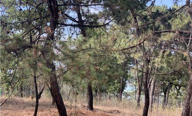 TERRENO EN VENTA CON VISTA PARCIAL AL LAGO EN AVANDARO