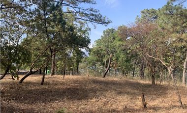 TERRENO EN VENTA CON VISTA PARCIAL AL LAGO EN AVANDARO