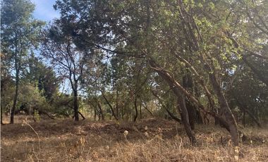 TERRENO EN VENTA CON VISTA PARCIAL AL LAGO EN AVANDARO