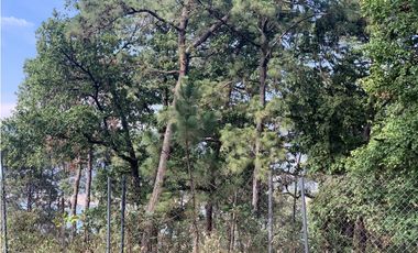 TERRENO EN VENTA CON VISTA PARCIAL AL LAGO EN AVANDARO