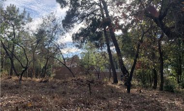 TERRENO EN VENTA CON VISTA PARCIAL AL LAGO EN AVANDARO