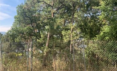TERRENO EN VENTA CON VISTA PARCIAL AL LAGO EN AVANDARO