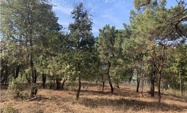 TERRENO EN VENTA CON VISTA PARCIAL AL LAGO EN AVANDARO