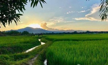 4 Bedroom House for sale in San Pong, Chiang Mai