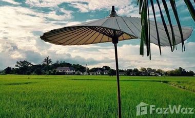4 Bedroom House for sale in San Pong, Chiang Mai