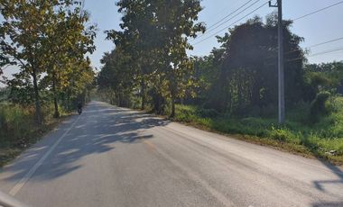 Land for sale in Chae Chang, Chiang Mai