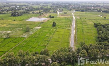 Land for sale in Chae Chang, Chiang Mai