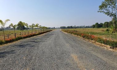 Land for sale in Chae Chang, Chiang Mai