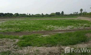 Land for sale in Bang Pla, Nakhon Pathom