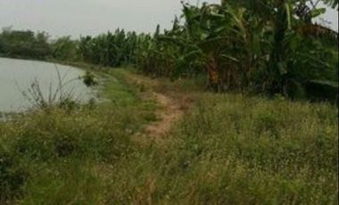 Land for sale in Bang Pla, Nakhon Pathom