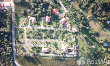 14 Bedroom Villa for sale in Rop Wiang, Chiang Rai