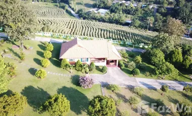 14 Bedroom Villa for sale in Rop Wiang, Chiang Rai