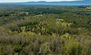 Agrícola en Venta en COD37523 Segunda faja sector Candelaría