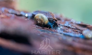 Agrícola en Venta en COD37523 Segunda faja sector Candelaría