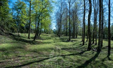 Agrícola en Venta en COD37523 Segunda faja sector Candelaría